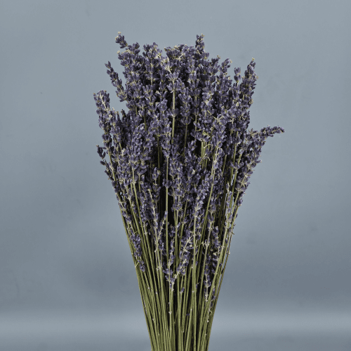 Manojo de Lavanda Seca Natural