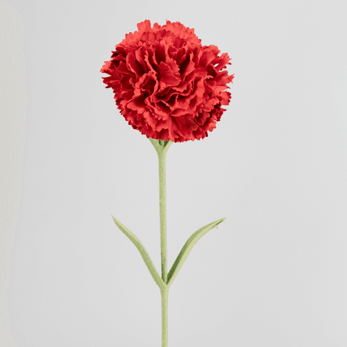 Œillet Artificiel, Fleur artificielle de 54-68 cm de long, lot de 24 unités