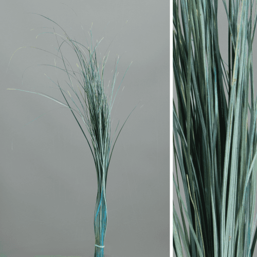 Erva-urso preservada azul, Flor preservada de 50-70 cm de comprimento, conjunto de 2 unidades