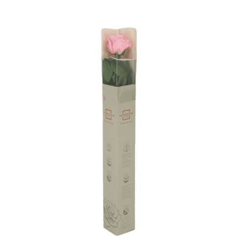 Rosa Rosa Tallo, Rosa, 1 tallos, 55cm