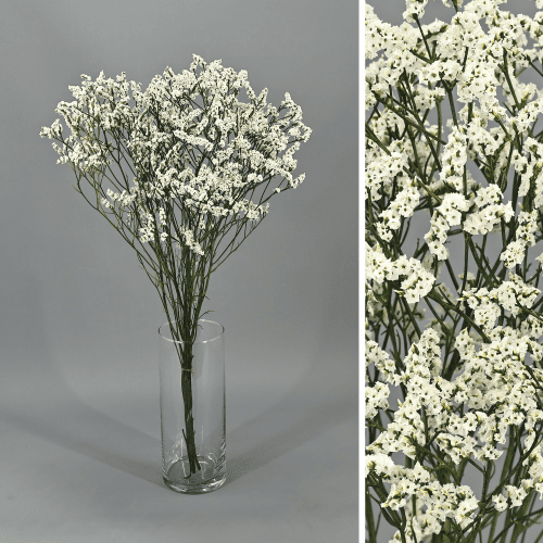 Limônio Sinensis preservado branco, Flor preservada de 40-60 cm de comprimento