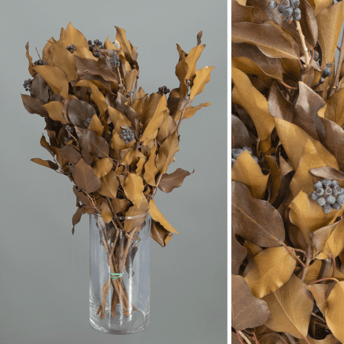 Hera arbórea preservada chocolate, Flor preservada de 30-50 cm de comprimento