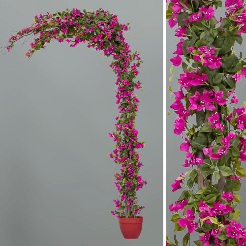 X Bougainvillea Arbol Decoración, Fucsia