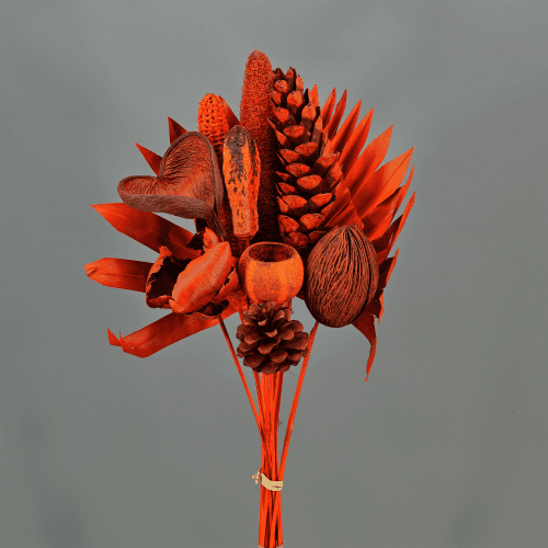 Ramo de Flores Secas Exótico Laranja, Flor seca de 40 cm de comprimento