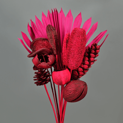 Ramo de Flores Secas Exótico Fúchsia, Flor seca de 40 cm de comprimento