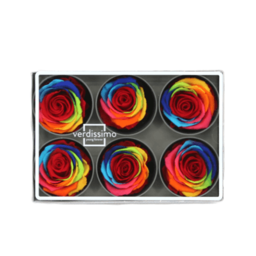 Rosa Eterna Rainbow Variada