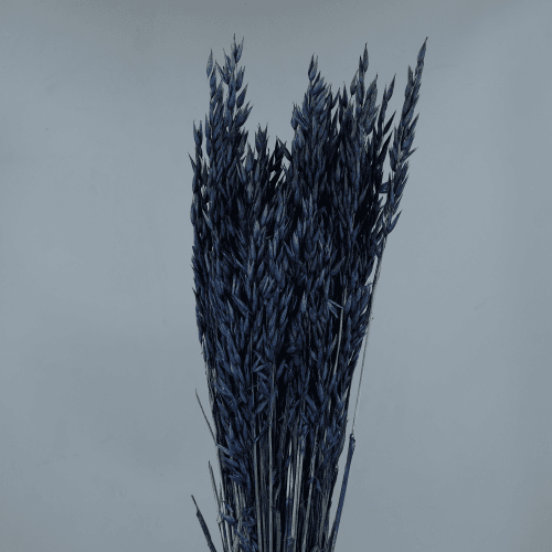 Avea Azul Seca Decorativa