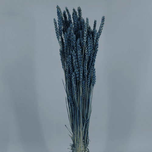 Trigo Seco Azul