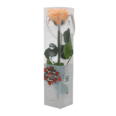 Rosa Melocoton Tallo, Salmón, 1 tallos, 27cm