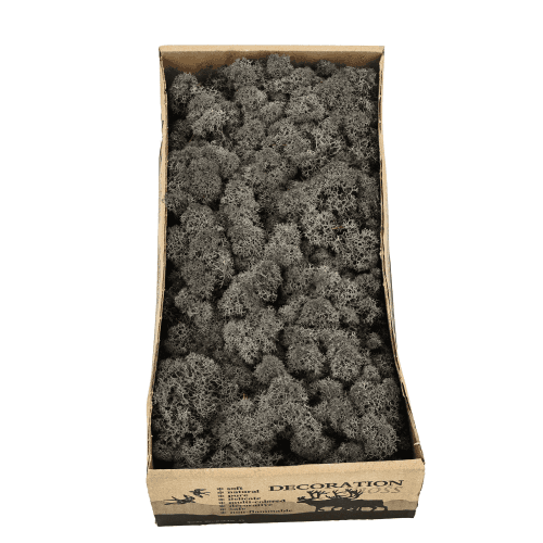 Musgo Finlandes 400 g