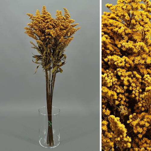 Solidago Amarelo Preservado, Flor preservada de 40-60 cm de comprimento