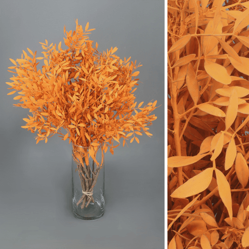 Lentisque peint orange