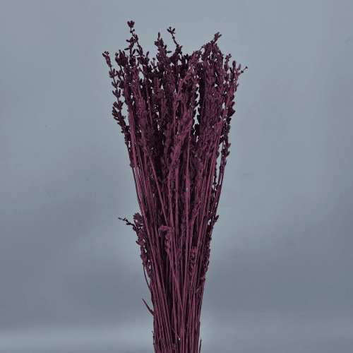 Bouquet de Lavande Violette Séchée
