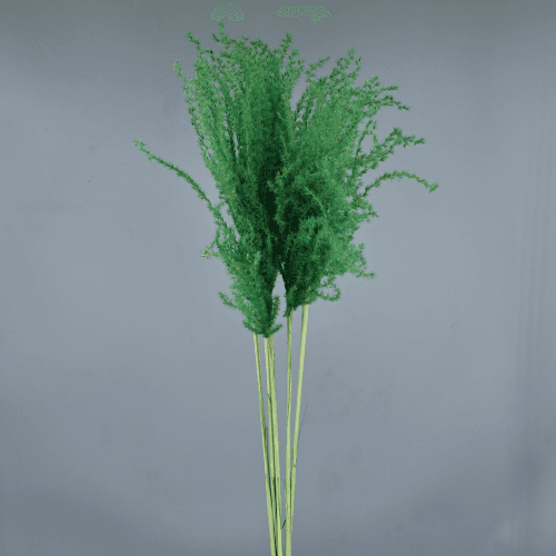 Ramo de 5 plumeros verdes Miscanthus 90 cm