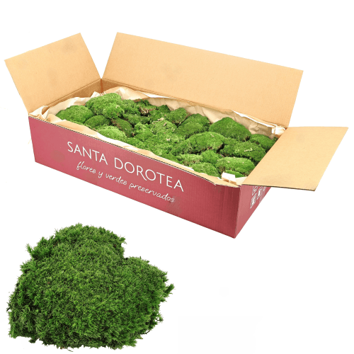 Musgo Bola Verde