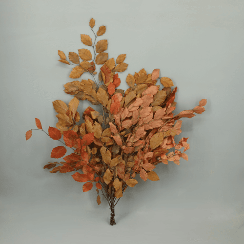 Haya preservada rojo-naranja