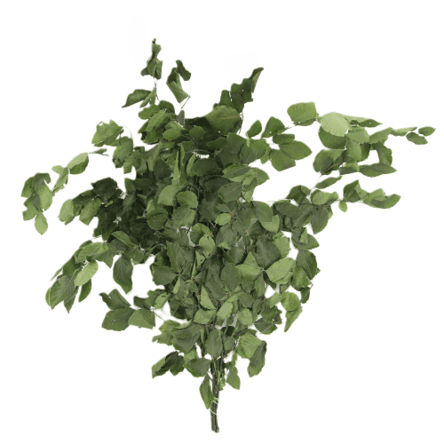 Haya preservada verde
