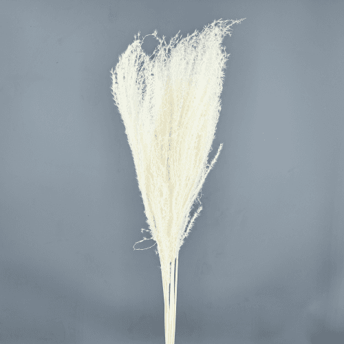 Plumero Blanco 70 cm