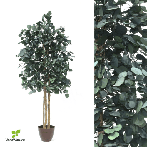 Árvore de Populus Preservado, Flor preservada de 180 cm de comprimento