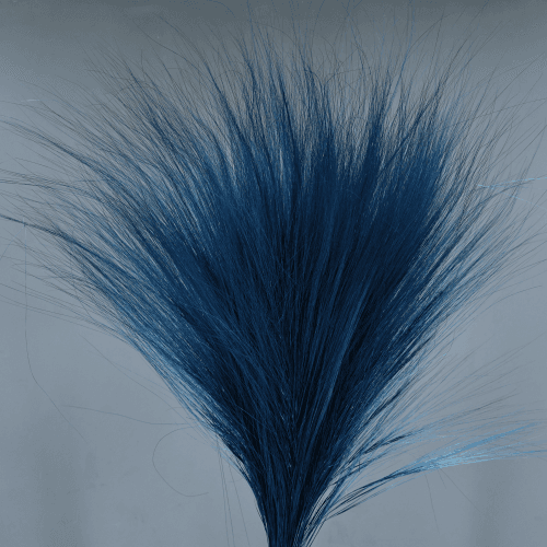 Barba azul preservada