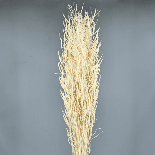 Chile Blanco Preservado