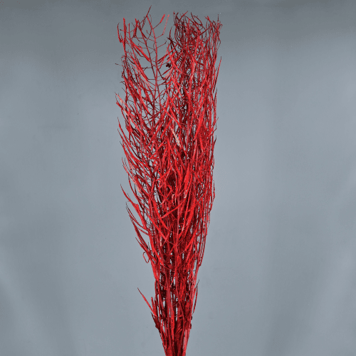 Chile Rojo