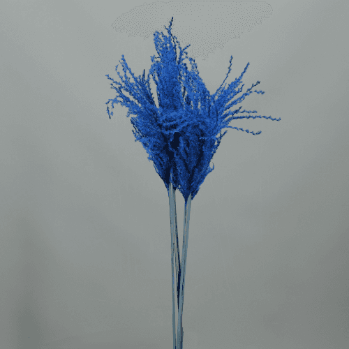 Plumero de Miscanthus Azul, Flor preservada de 90 cm de largo, pack de 2 uds