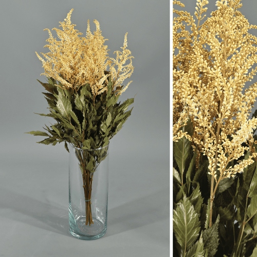 Astilbe preservada crema