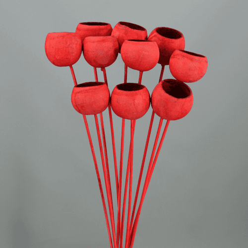 Bell Cup Rojo (Cáliz de Flor), Flor seca de 40-60 cm de largo, lote de 10 tallos