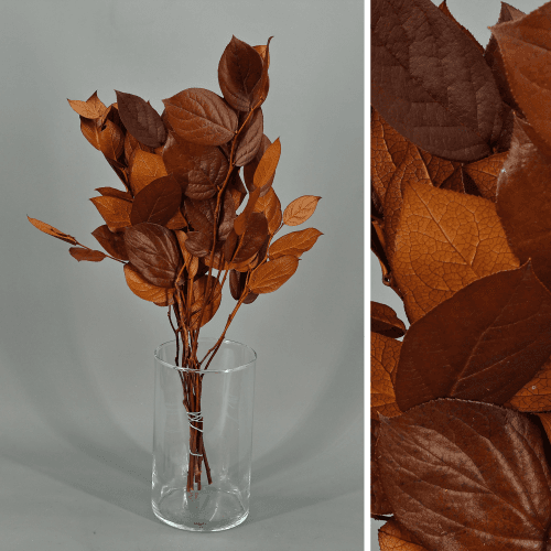 Salal Chocolate Preservado