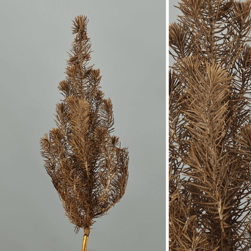 Pinheiro-manso preservado amarelo, Flor preservada de 30 cm de comprimento