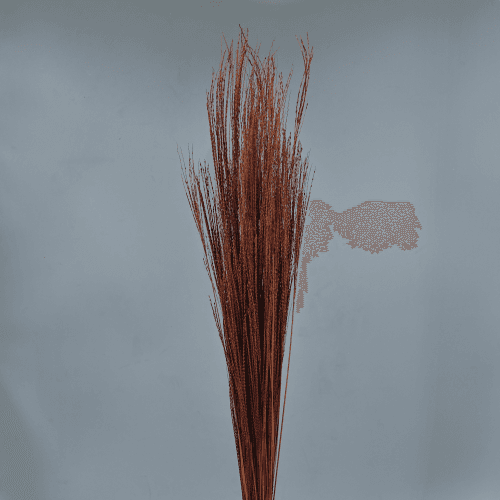 Filo Seco Marrón Decorativo, Flor seca de 90 cm de largo
