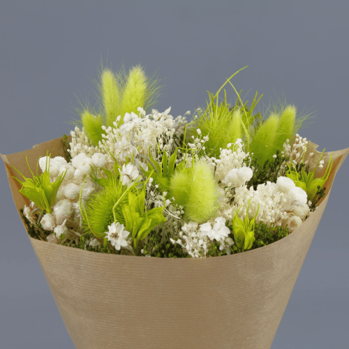 Ramo de Flores Secas Wow Verde Claro, Flor seca de 30 cm de comprimento La Sempreviva