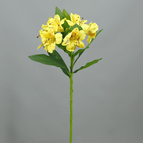 X Alstroemeria ❊, 74 cm