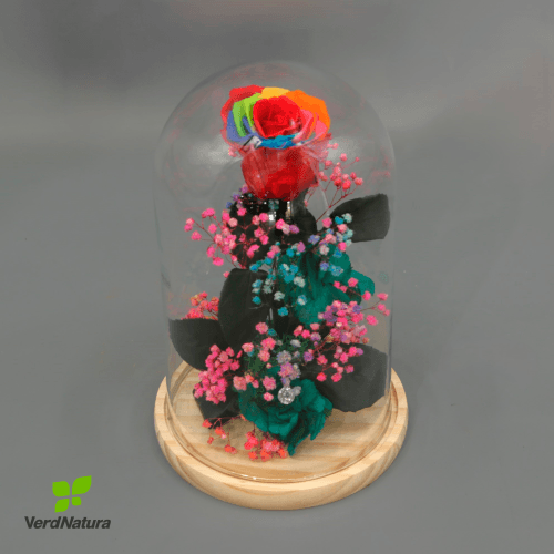 Y Cúpula rosa preservada