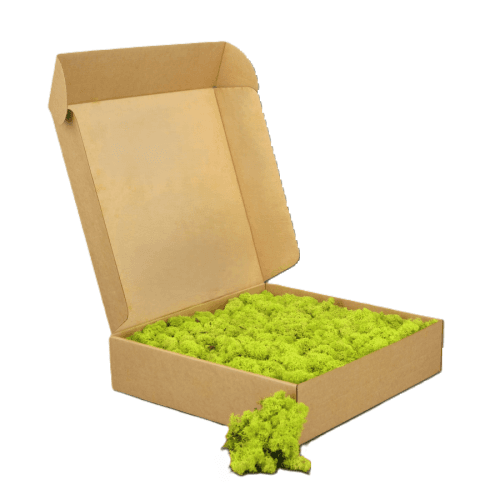 Musgo liquen preservado verde pistacho ou verde oscuro 1 kg, Flor preservada
