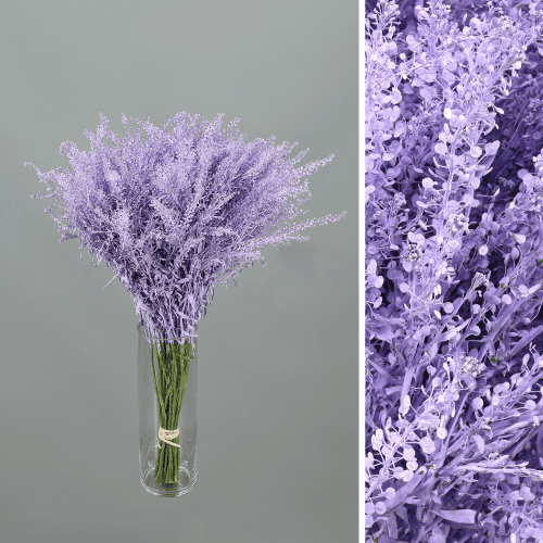 Bouquet de 25 Thlaspi Lavande, Fleur fraîche de 55 cm de long, 25 tiges