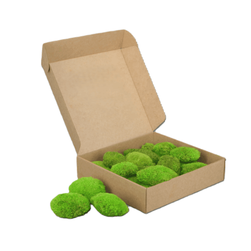 Musgo bola preservado verde, Flor preservada