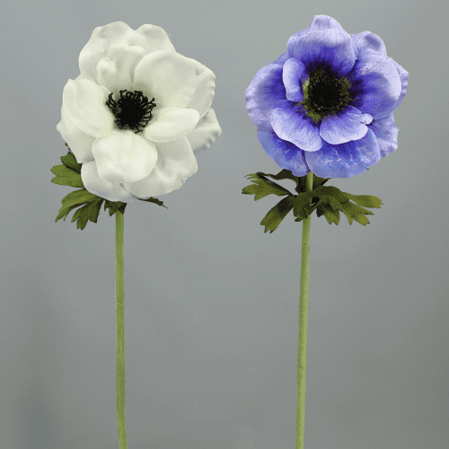 X Anemona Surtidas ❊, 53 cm