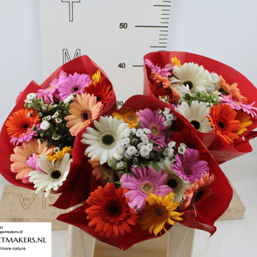 Ramo de Flores Variadas Rojo, 42 cm de tallo