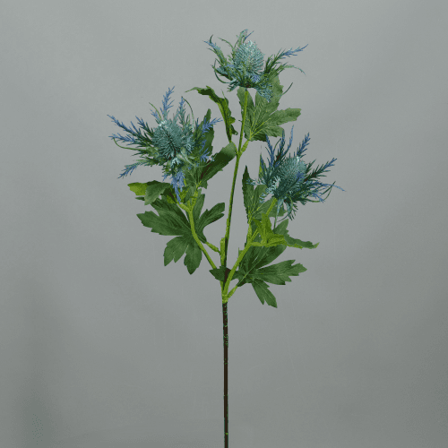 X Cardo Seaholly ❊, 66 cm