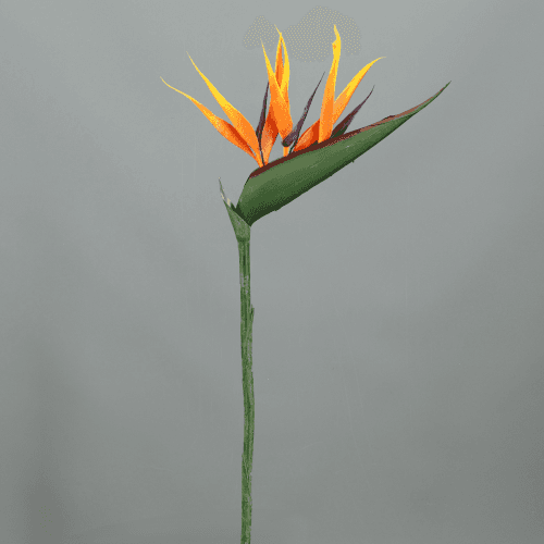 Lot de 12 Strelitzias artificiels (oiseau de paradis) 68/90 cm, Fleur artificielle de 68-90 cm de long, lot de 12 unités