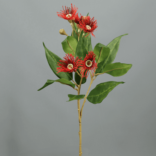 X Eucalipto Flor ❊