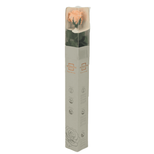 Rosa Melocoton Tallo, Salmón, 1 tallos, 55cm