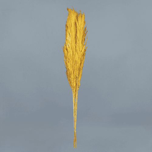 Plumero preservado amarillo