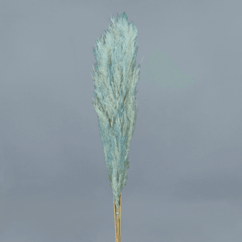 Plumero preservado Azul Claro 125 cm