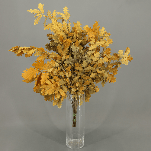 Roble preservado ocre
