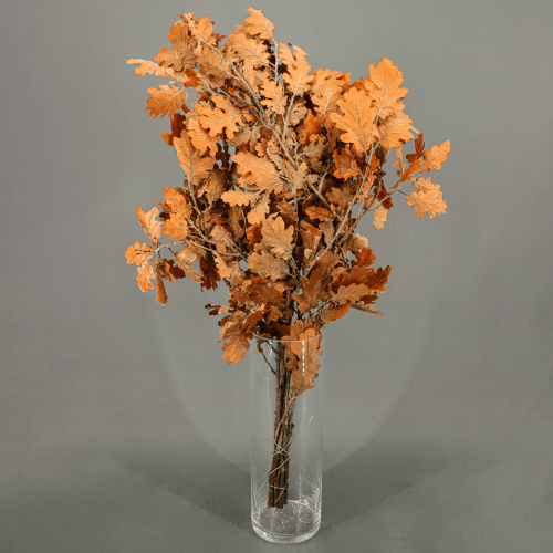 Roble preservado naranja