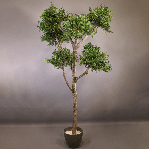 Árvore preservada Tenerife, Flor preservada de 180 cm de comprimento