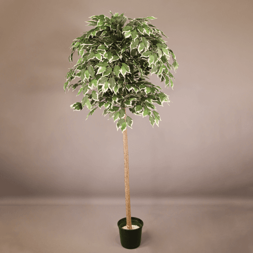 Ficus bola artificial, Flor artificial de 180 cm de comprimento
